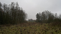 2012 11 24 912
