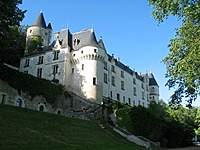 Chisseaux (Medium)
