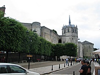 d'Amboise (Medium)