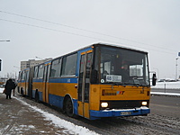 P1230856