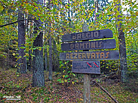 Balčio rezervatas