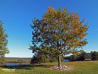 DSCF2853