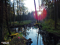 Papliaušė