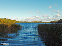 Šakarvai