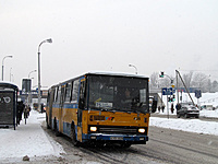 IMG 0246