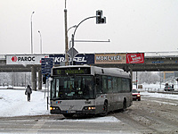IMG 0253