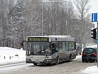 IMG 0254