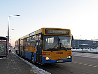 IMG 0312 1