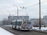 IMG 0305 1