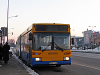 IMG 0319