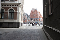 IMG 7461