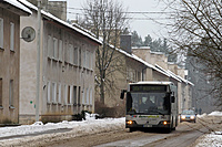IMG 0395