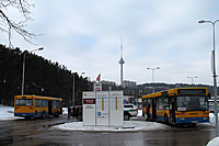 IMG 0561