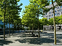 P1070361