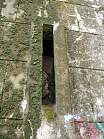 PICT0976