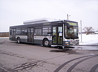 2013-04-11 MAN Lion's, City A21 NL273 CNG 937
