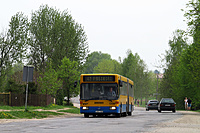 IMG 1354
