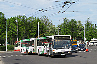 IMG 1407A