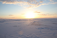 IMG 9112