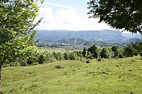 IMG 3181