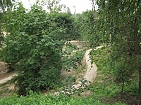 DSCF2939