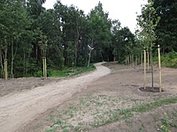 DSCF2941