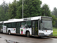 IMG 1712A