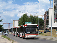 IMG 1969A