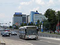 IMG 1977A