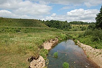 bradeliskiu