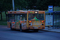 10 VVT 498 galas