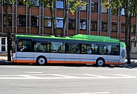 DSC 0725