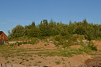 Tauralaukis Ekete 2012 07 22 008