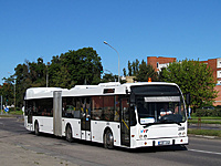 IMG 5029