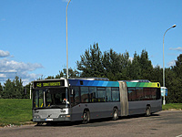 IMG 5035