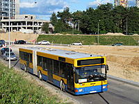 IMG 5045