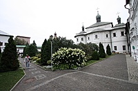 IMG 4129
