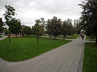 DSC02778