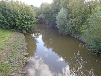 DSC02785