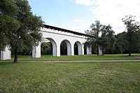 IMG 4302