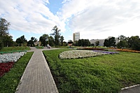 IMG 4316
