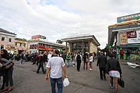 IMG 4317
