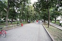 IMG 4319