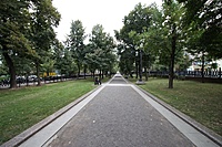 IMG 4334