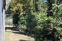 Borzomis Bakurianis 2011 09 095