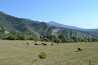Borzomis Bakurianis 2011 09 128