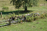 Borzomis Bakurianis 2011 09 154