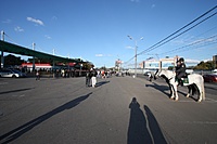 IMG 4116