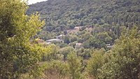DSCF3548