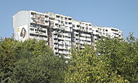 DSCF3580